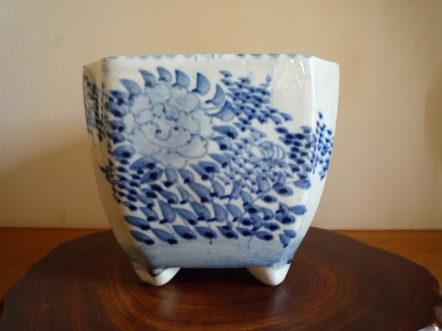 お値引き中⬛︎⬛︎⬛︎ 蘭鉢 海龍 13cm 銘あり ⬛︎⬛︎⬛︎ 盆栽鉢